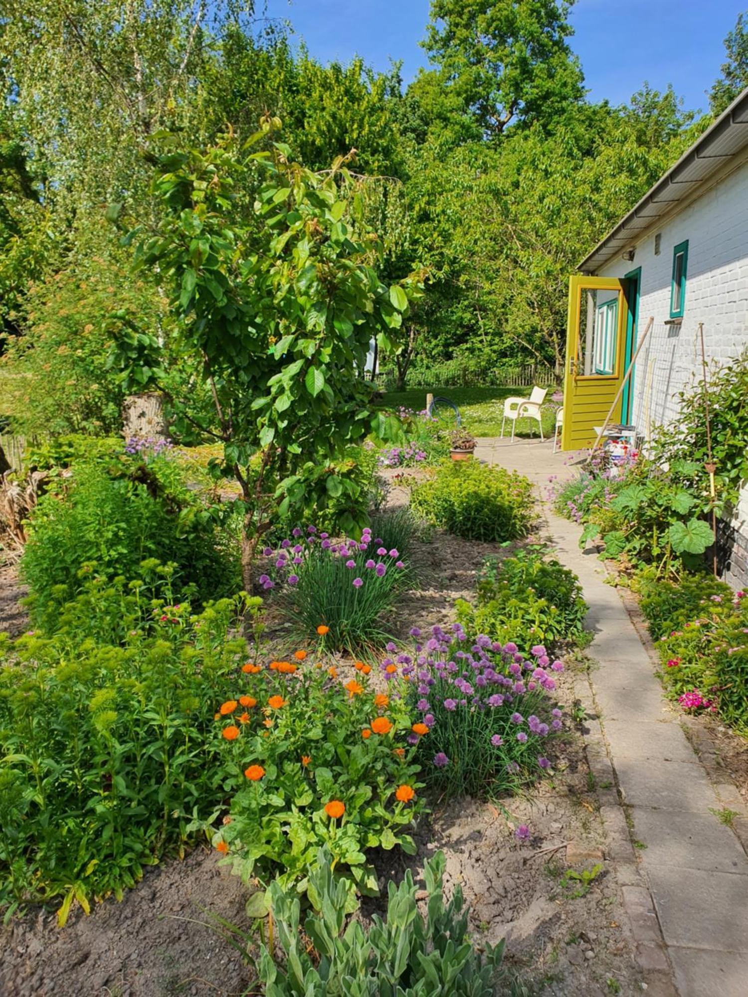 Huisje Fiederels Villa Bant ภายนอก รูปภาพ