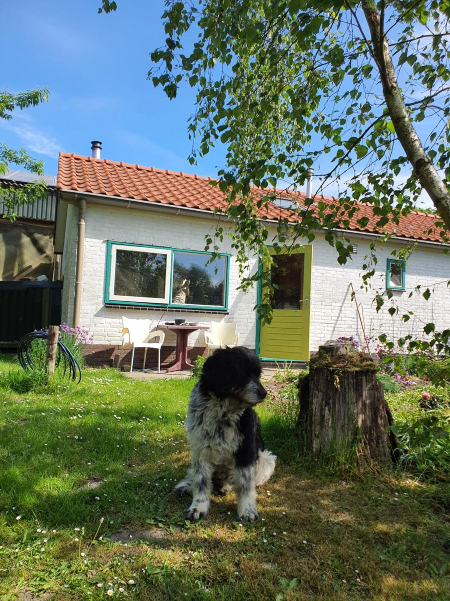 Huisje Fiederels Villa Bant ภายนอก รูปภาพ